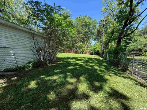 Tiny photo for 1312 W SYCAMORE Street, Carbondale, IL 62901 (MLS # EB458119)