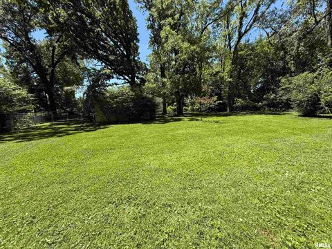 Tiny photo for 1312 W SYCAMORE Street, Carbondale, IL 62901 (MLS # EB458119)