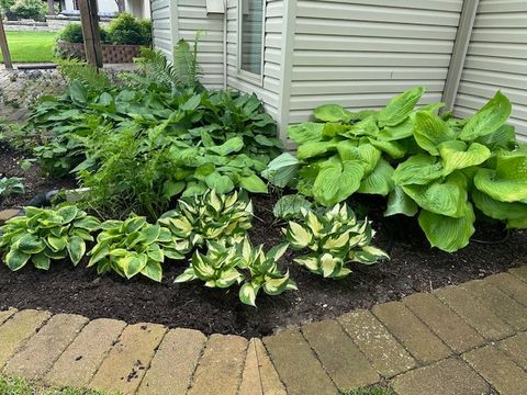 Tiny photo for 1303 Morning Dove Lane, Antioch, IL 60002 (MLS # 12553982)