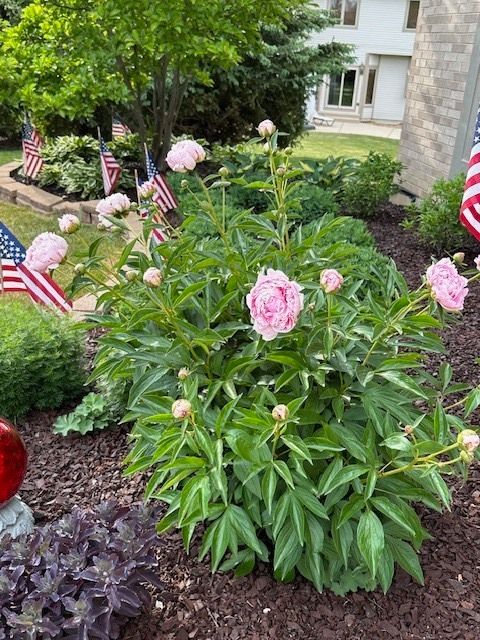 Tiny photo for 1303 Morning Dove Lane, Antioch, IL 60002 (MLS # 12553982)