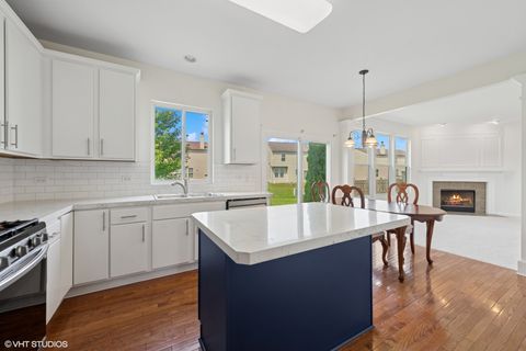 Tiny photo for 251 Carolina Street, Bolingbrook, IL 60490 (MLS # 12463123)