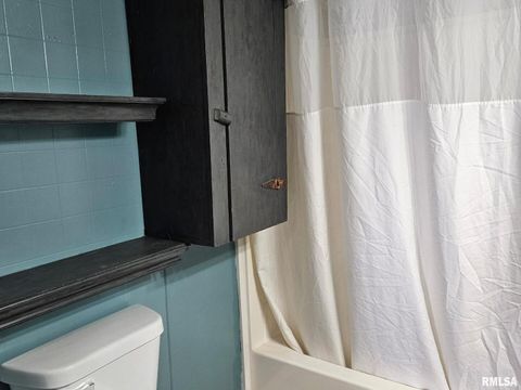 Tiny photo for 201 E MAY Street, Joy, IL 61260 (MLS # QC4270049)