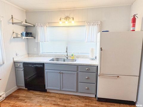 Tiny photo for 102 SE FRONT Street, Dongola, IL 62926 (MLS # EB459546)