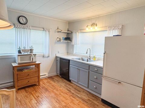 Tiny photo for 102 SE FRONT Street, Dongola, IL 62926 (MLS # EB459546)