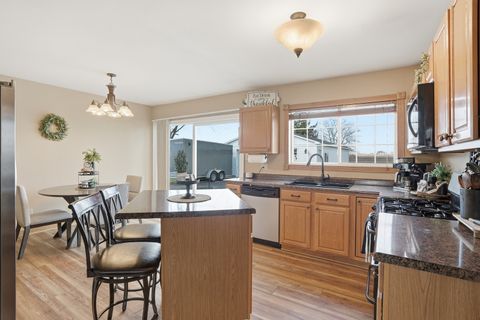 Tiny photo for Momence, IL 60954 (MLS # 12622917)