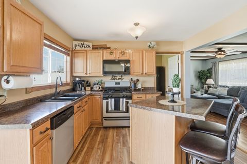 Tiny photo for Momence, IL 60954 (MLS # 12622917)