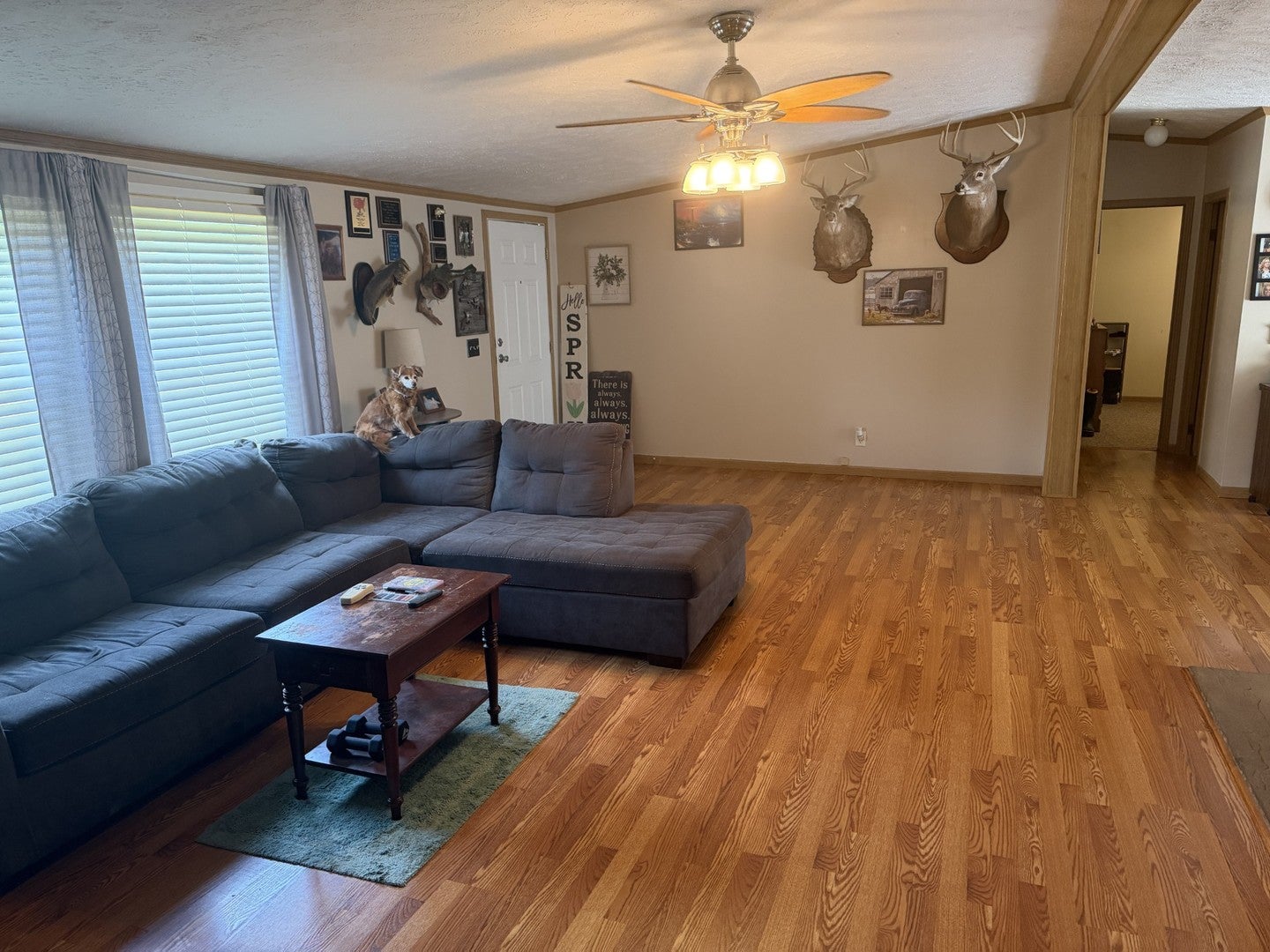 5 Southland Drive
