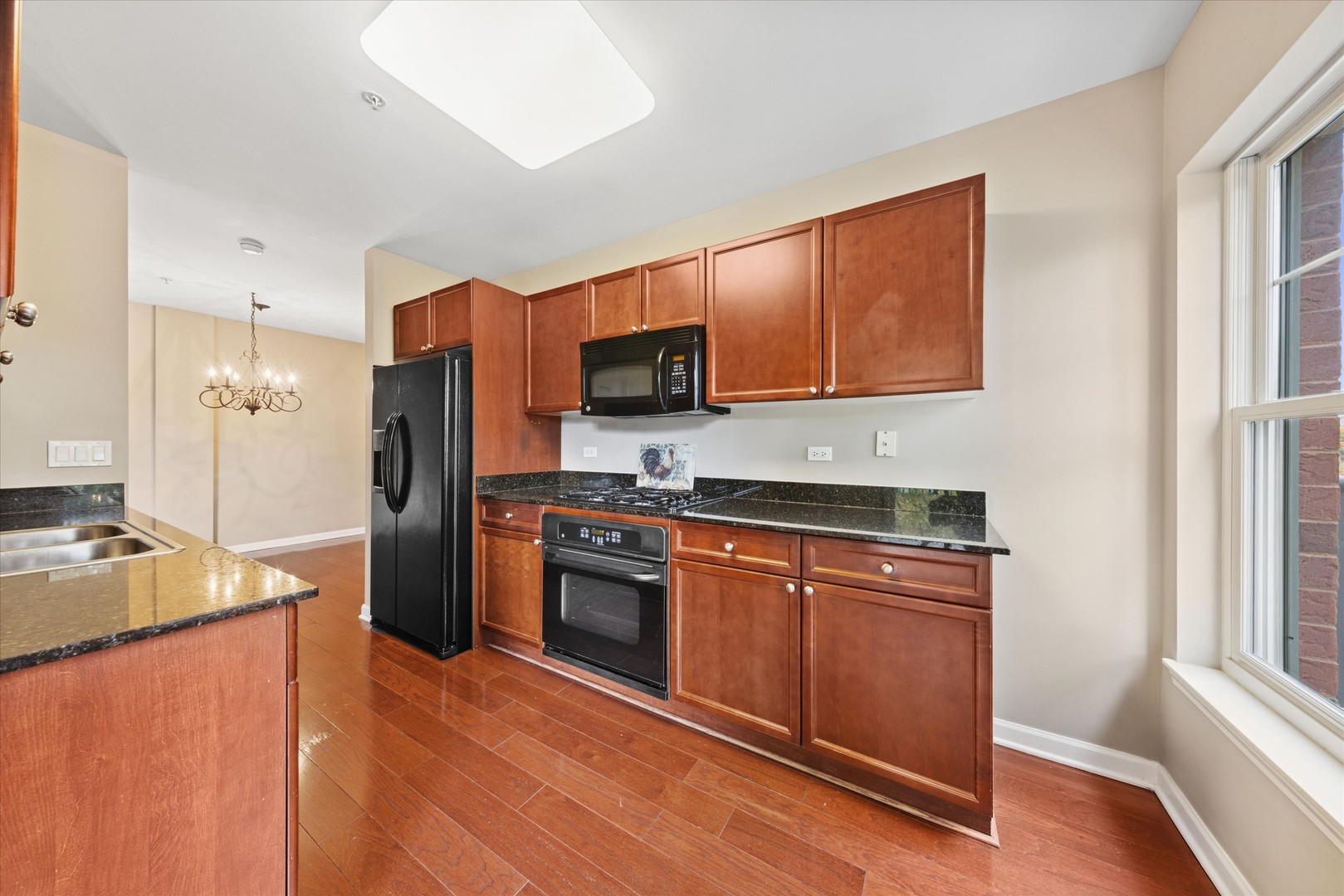 255 E Liberty Drive 309