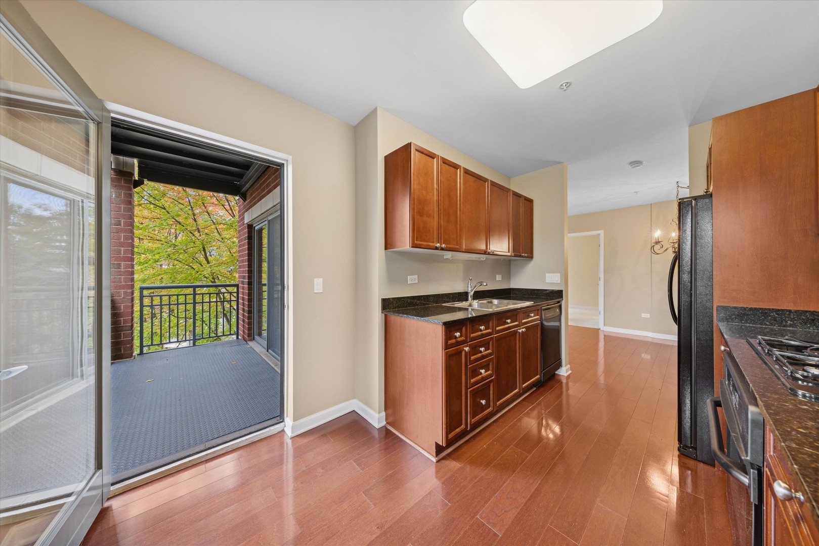 255 E Liberty Drive 309