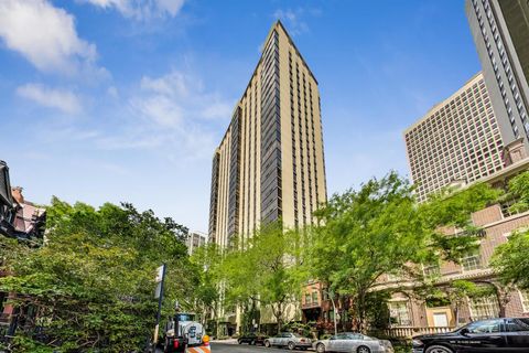 100 E Bellevue Place 14B Chicago IL 60611