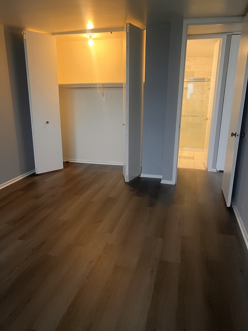 3001 S Michigan Avenue 1204