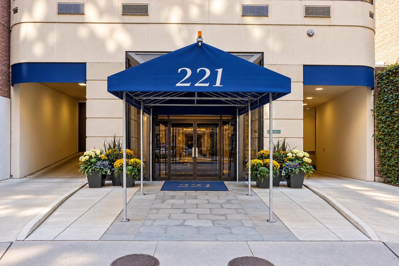 221 E Walton Place 14B