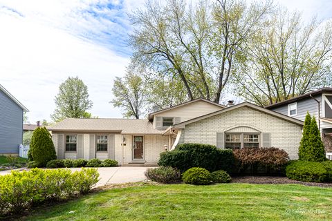 315 Anthony Road Buffalo Grove IL 60089