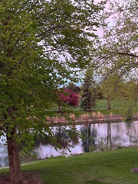 Tiny photo for Bolingbrook, IL 60490 (MLS # 12528902)