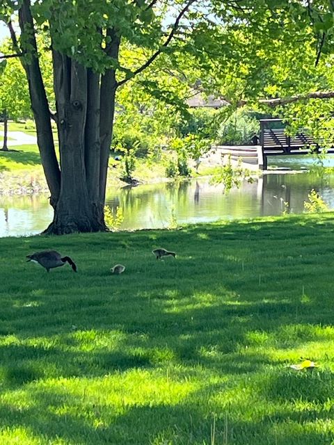 Tiny photo for Bolingbrook, IL 60490 (MLS # 12528902)