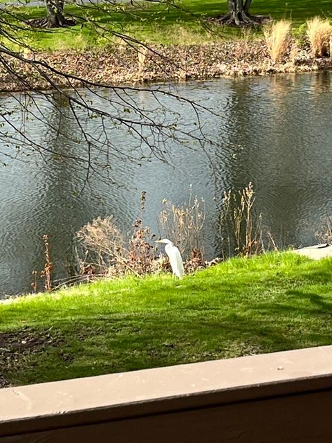 Tiny photo for Bolingbrook, IL 60490 (MLS # 12528902)