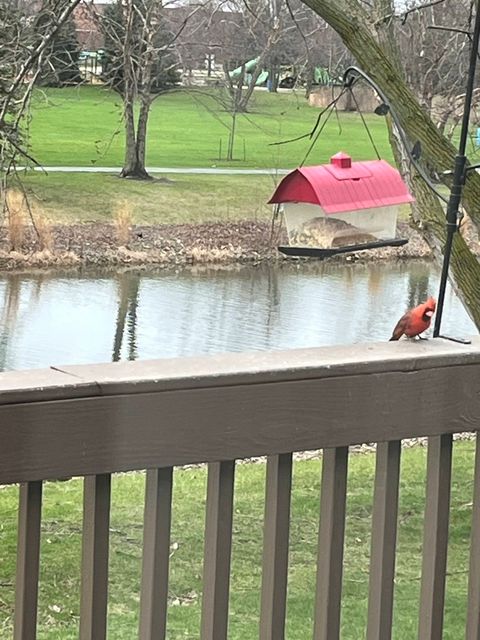 Tiny photo for Bolingbrook, IL 60490 (MLS # 12528902)