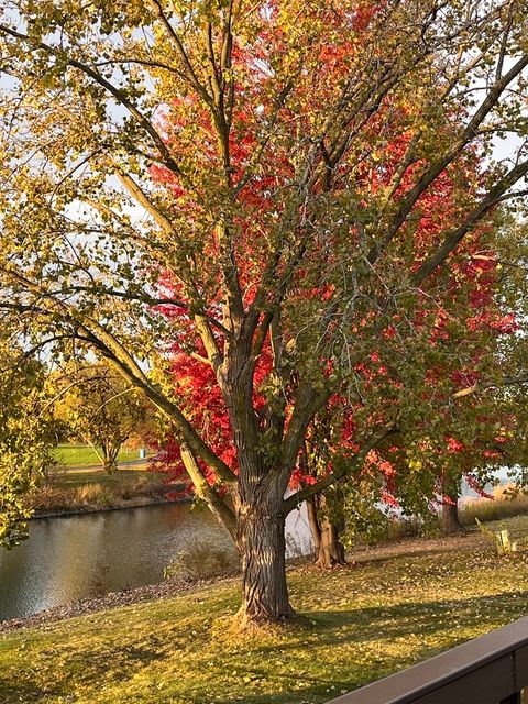 Tiny photo for Bolingbrook, IL 60490 (MLS # 12528902)