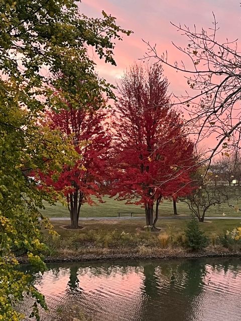 Tiny photo for Bolingbrook, IL 60490 (MLS # 12528902)