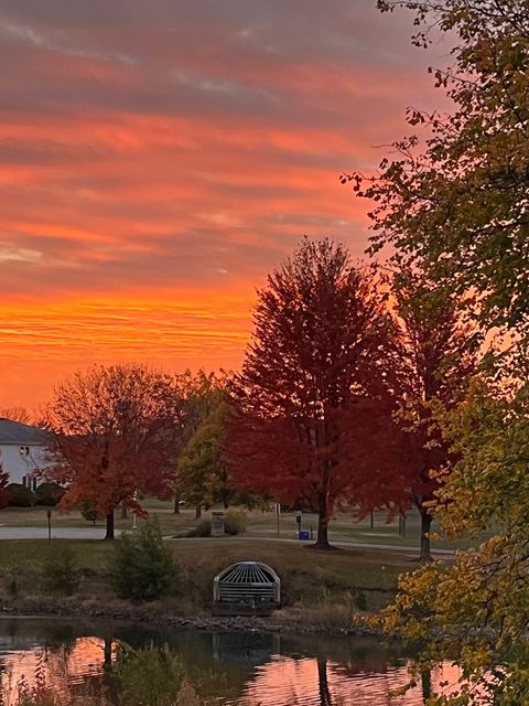 Tiny photo for Bolingbrook, IL 60490 (MLS # 12528902)