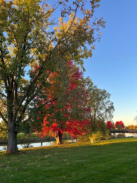 Tiny photo for Bolingbrook, IL 60490 (MLS # 12528902)