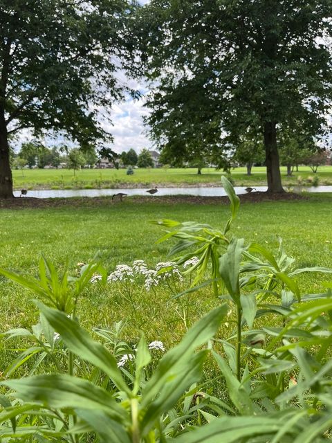 Tiny photo for Bolingbrook, IL 60490 (MLS # 12528902)