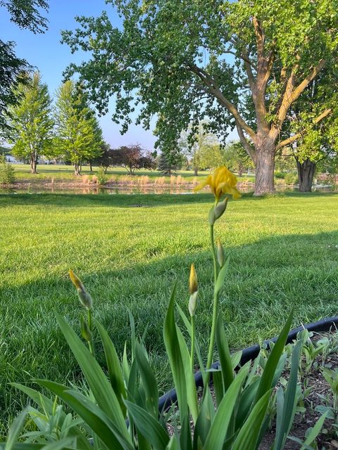 Tiny photo for Bolingbrook, IL 60490 (MLS # 12528902)