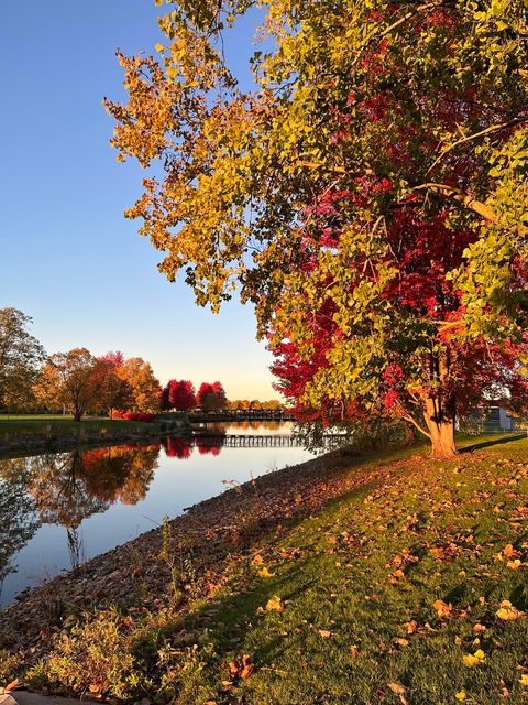 Tiny photo for Bolingbrook, IL 60490 (MLS # 12528902)