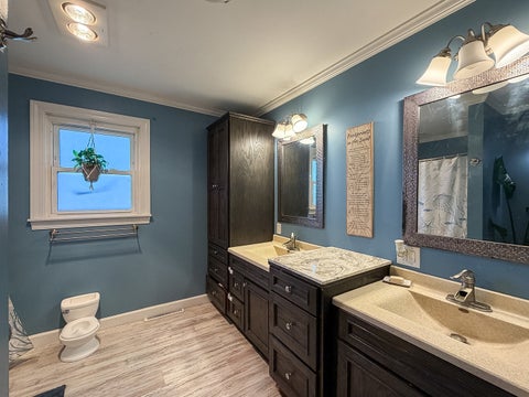 Tiny photo for 703 S East Street, Homer, IL 61849 (MLS # 12785286)