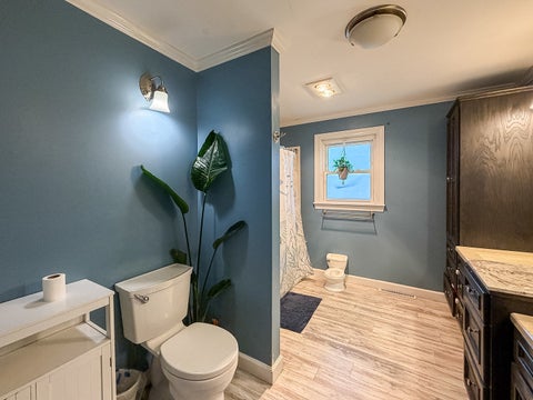 Tiny photo for 703 S East Street, Homer, IL 61849 (MLS # 12785286)