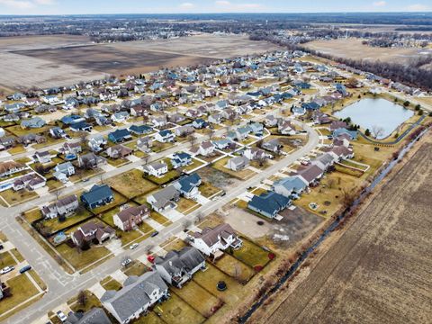 Tiny photo for 1175 S Farmstone Drive, Diamond, IL 60416 (MLS # 12585712)