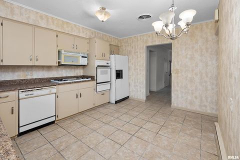 Tiny photo for 2500 15TH Street Court, Rock Island, IL 61201 (MLS # QC4269646)