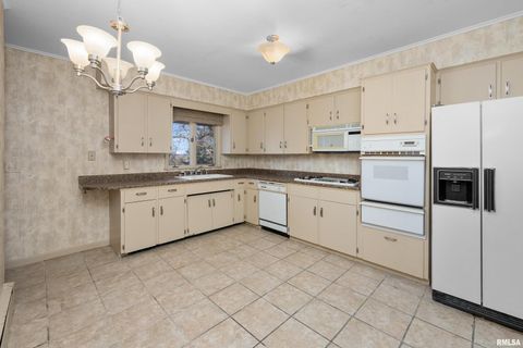 Tiny photo for 2500 15TH Street Court, Rock Island, IL 61201 (MLS # QC4269646)