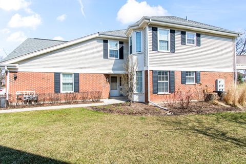1233 S Wellington Court Buffalo Grove IL 60089