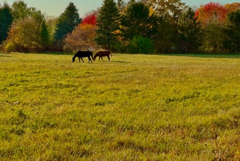 Tiny photo for 27169 BRICKVILLE Road, Sycamore, IL 60178 (MLS # 12485217)