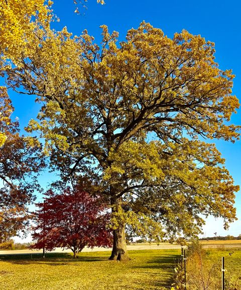 Tiny photo for 27169 BRICKVILLE Road, Sycamore, IL 60178 (MLS # 12485217)