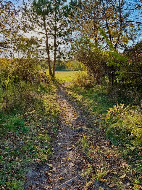 Tiny photo for 27169 BRICKVILLE Road, Sycamore, IL 60178 (MLS # 12485217)