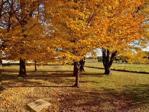 Tiny photo for 27169 BRICKVILLE Road, Sycamore, IL 60178 (MLS # 12485217)