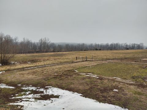 Tiny photo for 2950 Mt. Zion Road, Vienna, IL 62995 (MLS # 12565369)