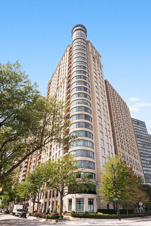 840 N Lake Shore Drive 2102 Chicago IL 60611
