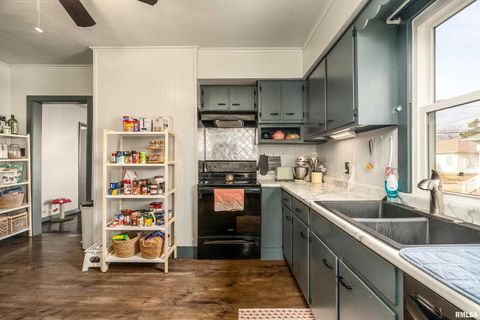 Tiny photo for 501 S BUCHANAN Street, Marion, IL 62959 (MLS # EB460756)