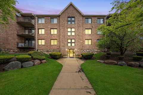 11001 Deblin Lane 307 Oak Lawn IL 60453