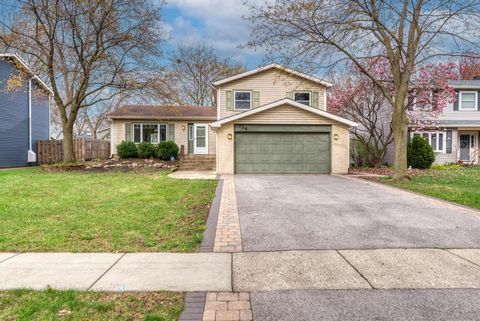 126 S Berteau Avenue Bartlett IL 60103