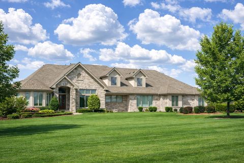 23164 S Dutch Drive Frankfort IL 60423