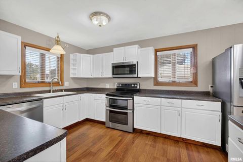 Tiny photo for 105 W PRICE Street, Eldridge, IA 52748 (MLS # QC4267231)