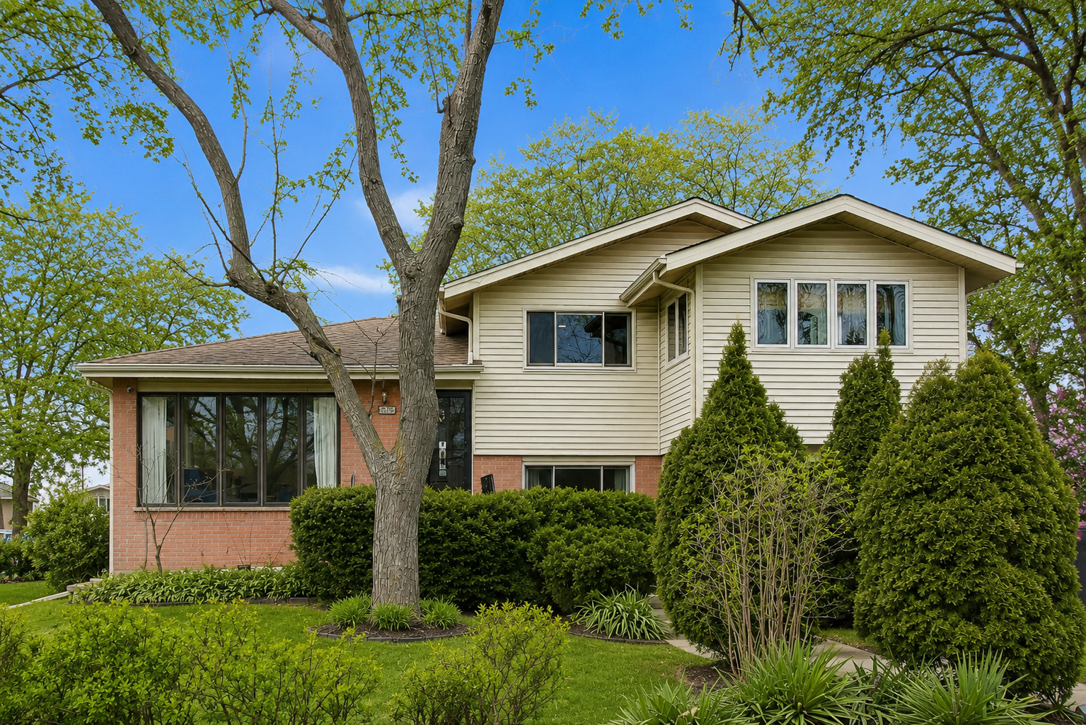 2506 Allison Court