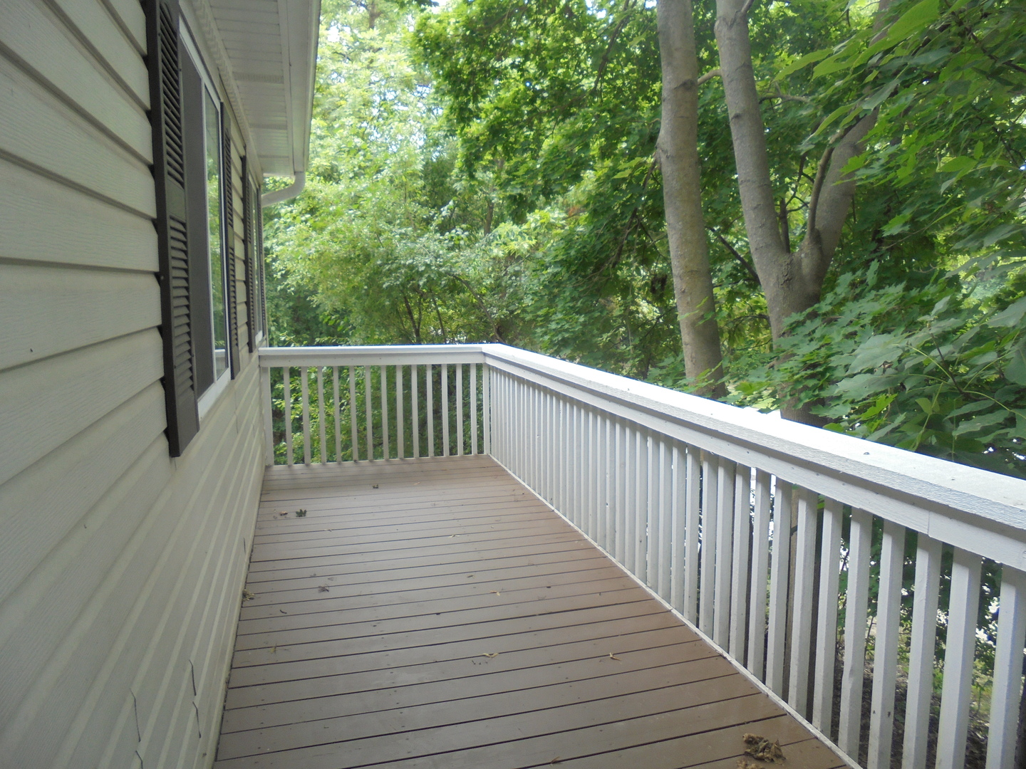 51 N Macgillis Drive