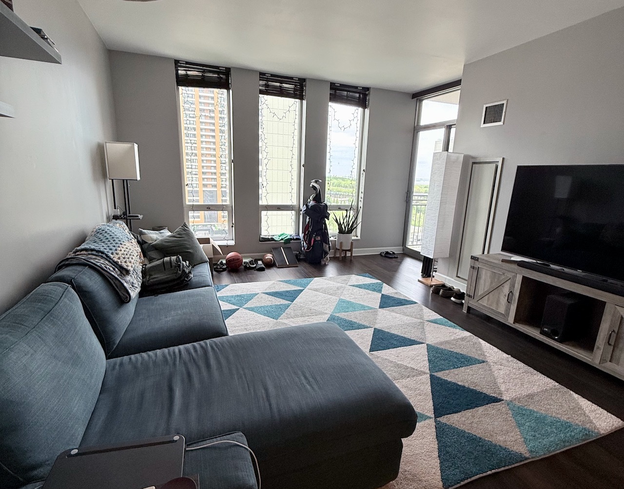 1250 S Michigan Avenue 1207