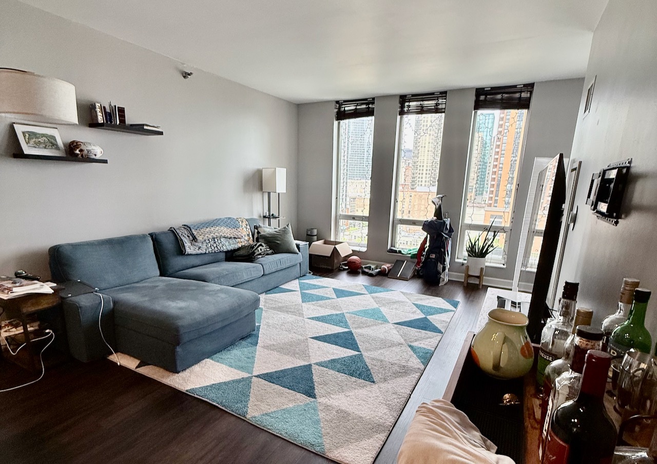 1250 S Michigan Avenue 1207