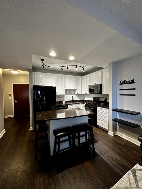1250 S Michigan Avenue 1207